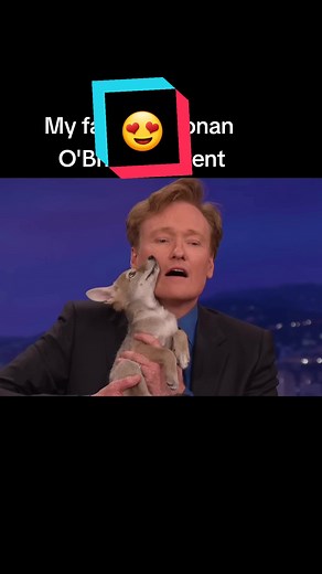 Cute Conan O'Brien moment with a baby coyote. My fav clip ever. #conanobrien #conanobreincoyote #coyotepup #fypシ #fypage #conanobrienlickingacoyote