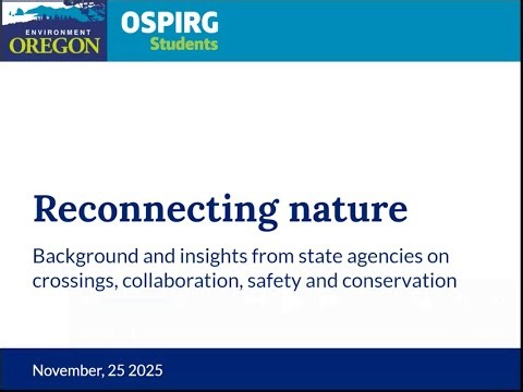 Reconnecting Nature: Background and insights on crossings, collaboration, safety and conservation