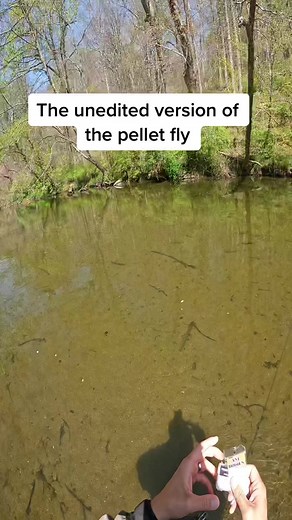 Creative Flyfishing: Trick Fish with Pellet Flies