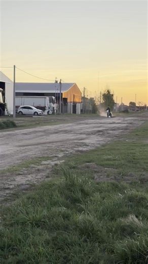 Exploring the Turtle Phenomenon