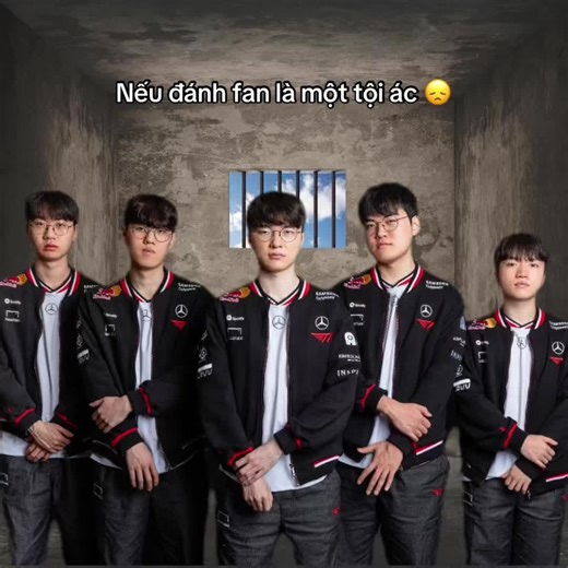 ai thích thì đu trên TikTok