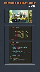 CSS Transition and Hover Effect Tricks #coding #css #shorts