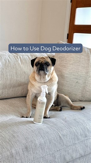 Stinky dog? Meet your new BFF, the Dog Deodorizer! Perfect for a quick refresh between washes - no rinsing required! Just spray, comb and go! Dare we say purrfect?! Share this video with a fellow dog mom or dad who totally needs this product! | Norwex