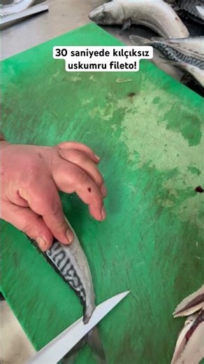 30 saniyede uskumru fileto nasıl kesilir. #bağcılar #balıkekmek #istanbullezzetleri