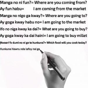 5.7K views · 141 reactions | We offer Zarma language translation...