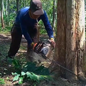 11K views · 273 reactions | Hard work cutting wood by team work | Making Video | Facebook