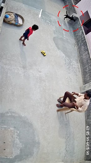 Something Unusual Appeared On The Terrace Wall |