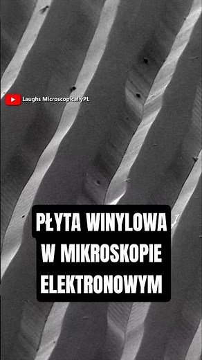 THIS IS WHAT A VINYL RECORD LOOKS LIKE UNDER AN ELECTRON MICROSCOPE #microscope #electron #science