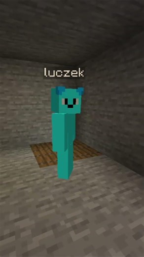 KTÓRĄ ZAPADNIE YOUTUBERA WYBIERASZ w MINECRAFT