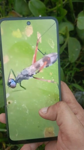 Motorola G54 5G Camera Test #ytshorts #youtubeshorts #viral