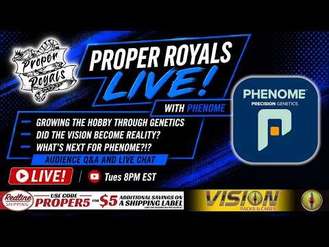 Phenome 8 Months Later | Did the Vision Become Reality? 📱