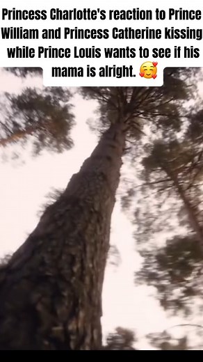8.2K views · 35 reactions | Princess Charlotte's reaction to Prince William and Princess Catherine kissing while Prince Louis #royalfamily #princesscatherine #kingcharles #unitedkingdom #us #usa #trending #viral #princessdiana #princewilliam #princeharry #katemiddleton #queenelizabeth #queencarmila #princelouis #princegeorge #princesscharlotte | Queen News Family | Facebook