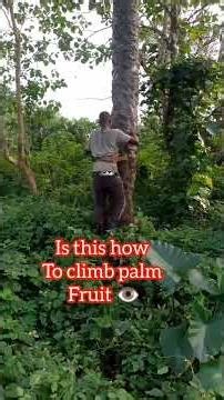 Palm fruit learner #comedy #funny