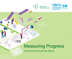 Measuring Progress: Environment and the SDGs