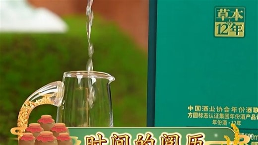 佳酿时光沉淀：品味X100红酒的醇香，家中聚会分享醇厚口感