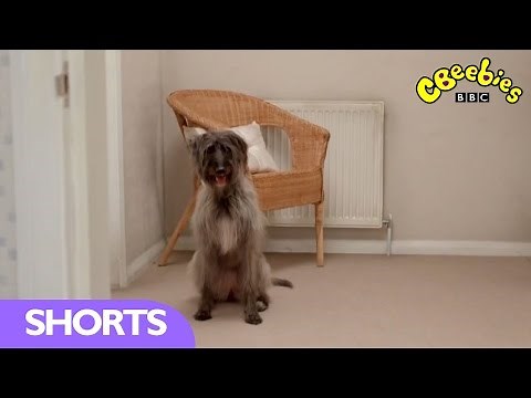 CBeebies: Topsy and Tim - Look After Grandma's Dog 'Mossy'