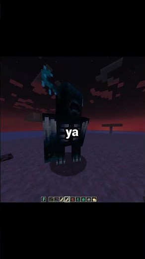 How to flip any mob upside down with nametag£