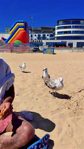 London Morsed on TikTok