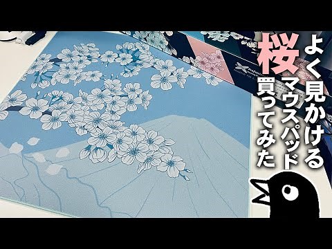 【簡易レビュー】Aqua Control 2 買ってみた。500x500の「あ、縦にめっちゃ振れる～ ^^」感はやはり最高。【X-Raypad Aqua Control 2】
