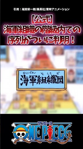 【公式】海軍組織の階級内での序列がついに判明！ #onepiece #ワンピース #最新話 #考察 #反応集