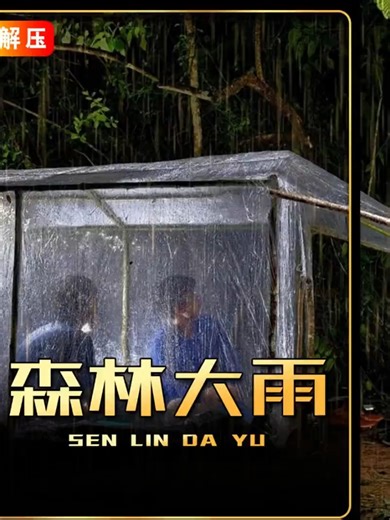 雨天露营建造：解压治愈失眠