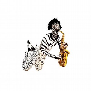 Various - The Zebra Box