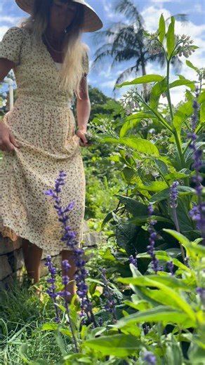 11K views · 338 reactions | 10 Herbs Every New Mother Needs to Know...