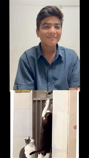 Reaction Shots video #rihan_vlogs7 ￼