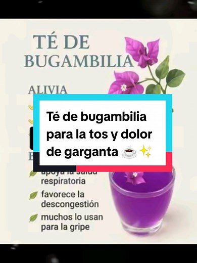 Té de Bugambilia: Conquista tu salud naturalmente