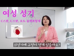 [여성 성기 1부]여성의 성기의 구멍이 몇개일까? 여성성기,여성의 외음부 생식기[C스팟U스팟 요도-음핵복합체] The number of holes in female genitals