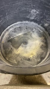 63K views · 507 reactions | BETON TESZT!!! Vajon 0 fok alatt is adalékszerek használatával megéri betonozni??? Röpke teszt, de kiváncsi vagyok a végeredményre! | VM Kerítés Mester | Facebook