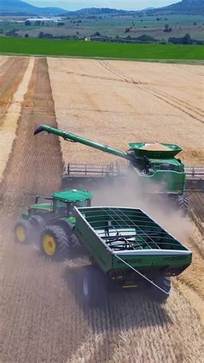 3.6K views · 9.5K reactions | With the maize and soybean harvest rolling in this is taking it back to last years wheat harvest  too good not to post again  next up maize/soybean harvest! - - #johndeere #franklyfarming #harvest #tractor #combineharvester #farming #farmer #agriculture #agricultureworld #agricultureworldwide #johndeerepower #djiagriculture | Frankly Farming | Facebook