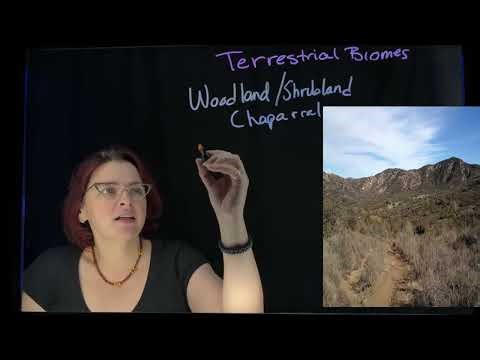 APES 12 - Land Biomes