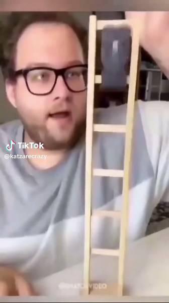 Ladder Cat Funny Memes and Videos Compilation