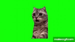 【猫ミーム 素材集① 40選】 (Cat meme green screen) on Make a GIF