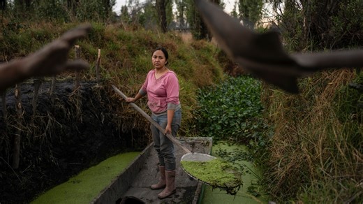 Women in Mexico step up to protect ancient Aztec farms and save a vanishing ecosystem