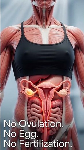How Birth Control Pills Actually Prevent Pregnancy 🤯