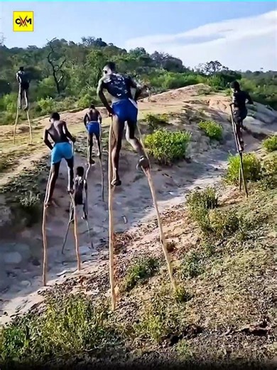 Why They Walk By Wooden Stick? 😨