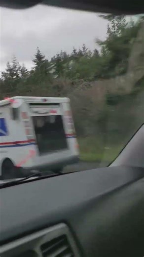 mail truck caught fire by the highway in Bellevue #usps #mailingflyers #mailman #mailclub #fypage