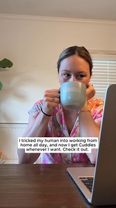 Your pup prefers remote work too 🐶❤️ Find jobs you can trust with FlexJobs. ✅ Start your search today | FlexJobs