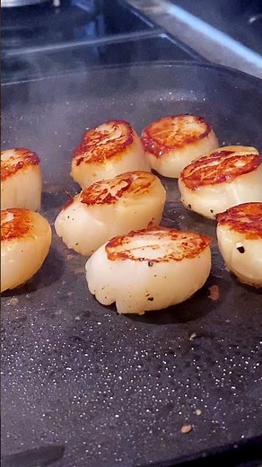 How to Cook Scallops - Seared to Perfection #shorts #food