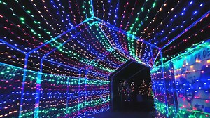 586 reactions · 278 shares | Wild Lights at your Akron Zoo is Nov....