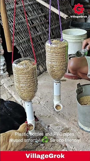 DIY Chicken Feeder: Easy and Efficient Way to Feed Your Flock