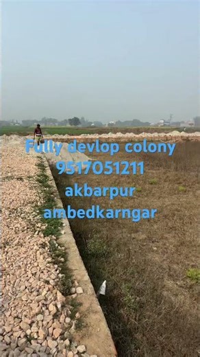 fully devlop colony.