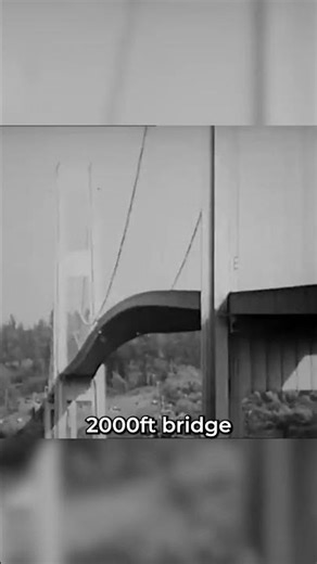 The $6,000,000 Engineering Disaster 🤡🌉
