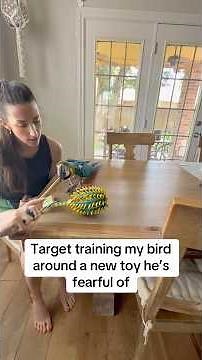How do you teach a parrot to accept new toys? #targettraining #enrichment #parrot #bird