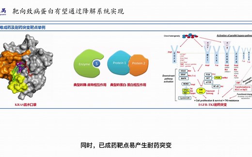 蛋白降解靶向嵌合体（PROTACs）之一：突破不可成药靶点