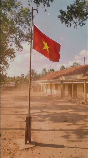Quý Dậu 1993 ơi, các bạn ổn không? Mùa hè 2011… đã 15 năm trôi qua rồi đó