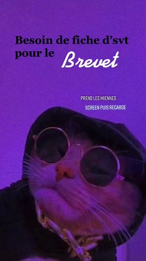 Voilà pour l’svt ;) #fyp #brevet #3eme #ficherevision #fiche #svt