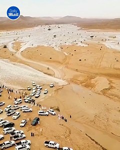 18K views · 109 reactions | Dudes gonna tell that story the rest of his life | Daily Mail Did That Just Happen? | Facebook